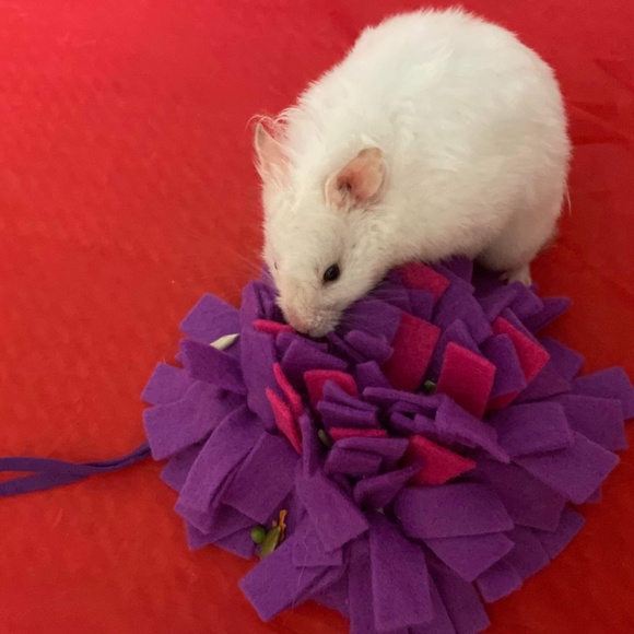 Snuffle Mats for small pets - Picture 10 of 10